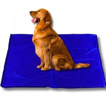 Tapete Gelado Cao Cachorro Gato Pet Animais Estimaçao Piscina Praia Sol Verao Calor Dias Quentes Colchonete Refrescante Confortavel Grande Bichos Esti