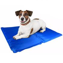 Tapete Gelado Cao Gato Pet Cachorro Verao Sol Colchonete Resfrescante Animais Estimaçao Calor Dia Quente Casa Petshop Veterinario Confortavel