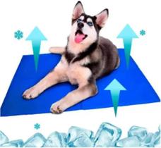 Tapete Gelado Para Pet Cachorro Gato Grande 50x65 Durável