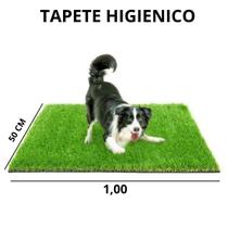 Tapete Grama Sintética Artificial 12mm - 1,00m x 0,50m (1m²) Sanitario Pet Higienico Lavavél Decorativa - Alia Decor
