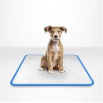 Tapete Higiênico Lavável Para Cães - M - 3 Uni - Azul