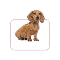 Tapete Higiênico Lavável Para Pet - Conforto e Praticidade Tamanho / Cor:Rosa P