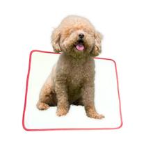 Tapete Higiênico Lavável Para Pet - Conforto e Praticidade Tamanho / Cor:Vermelho P