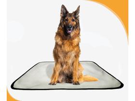 Tapete lavável dog adestramento higiênico 2un G - 90x100 cm