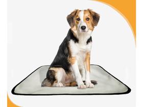 Tapete Lavável Dog Adestramento Higiênico 4Un M - 60X80 Cm