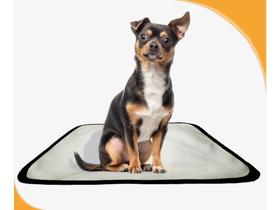 Tapete Lavável Dog Adestramento Higiênico 4Un P - 50X60 Cm