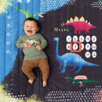 Tapete Mesversário Dino Dupla Face - Fotos Bebê Mês A Mês - Alce