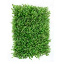 Tapete Misto de Eucalipto em Plástico Verde 60x40cm - H8