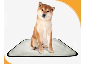 Tapete Para Adestramento Pet Reutilizável 2Un M - 60X80 Cm