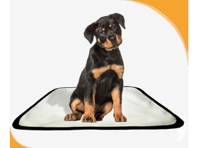 Tapete Para Cachorros Em Oferta Pet 1Un P - 50 X 60 Cm Tapete Para Cachorros Em Oferta Pet 1Un P - 50 X 60 Cm