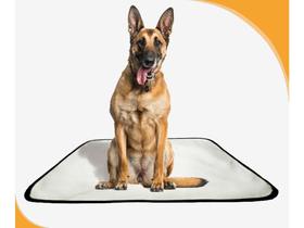 Tapete Para Cachorros Em Oferta Pet 4Un G 90X100Cm