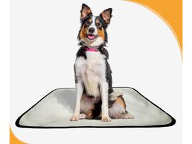 Tapete para cães fazerem xixi educar pet 1 un M 60x80 cm Tapete para cães fazerem xixi educar pet 1 un M 60x80 cm