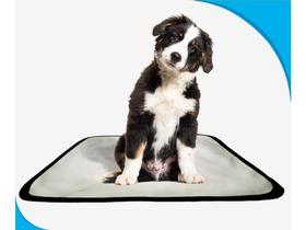 Tapete para cães fazerem xixi educar pet 1 un P 50x60 cm