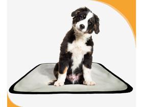 Tapete Para Cães Ferem Xixi Educar Pet 10 Un P 50X60 Cm