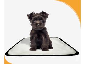Tapete para cães Higiênico ecológico 1 un P 50x60cm