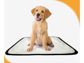 Tapete Para Cães Prático Ecológico 5 Un P1 50X70Cm