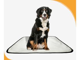 Tapete Para Cães Reutilizável Em Oferta 4 Un M1 70X100 Cm