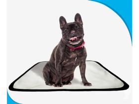 Tapete para pets lavável em oferta 2 un P1 50x70cm