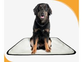 Tapete Para Pets Lavável Em Oferta 5 Un M 60X80 Cm