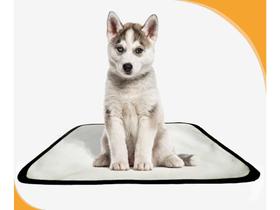 Tapete para Pets Lavável Higiênico Prático 1 un P 50x60cm