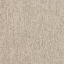 Tapete Para Sala de Estar New Bouclê 2,50x3,00 Palha - Tapetes São Carlos Tapete Para Sala de Estar New Bouclê 2,50x3,00 Palha - Tapetes São Carlos