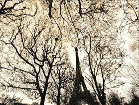 Tapete para sala Marbella Elite Epic Art Eiffel Park 200x250 cm Tapete para sala Marbella Elite Epic Art Eiffel Park 200x250 cm