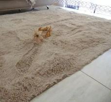 Tapete Pelo 2x2,40m