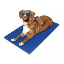Tapete Pet Gel Refrescante Cães - 40x50 Bordas Reforçadas