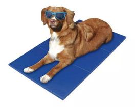 Tapete Pet Gel Refrescante Cães - 65x50 Bordas Reforçadas Tapete Pet Gel Refrescante Cães - 65x50 Bordas Reforçadas