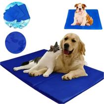 Tapete Pet Gelado Refrescante Verão Cachorro Gato Pequeno 40x50cm Durável