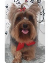 Tapete PET Higienico Lavável Personalizado - Base de Borracha Preta, Anti-Derrapante, Tecido 100% PET, Formato Retangular 38x58cm