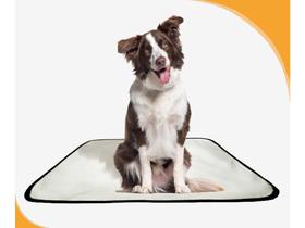 Tapete Pet Higiênico Prático Estratégico 2 Un M 60X80 Cm