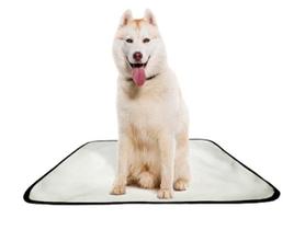 Tapete pet impermeável educador dog oferta 1 un G 90x100cm