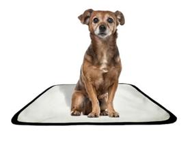 Tapete pet impermeável educador dog oferta 1 un PP 40x50cm