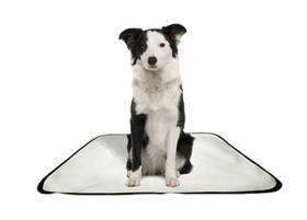 Tapete Pet Impermeável Educador Dog Oferta 3 Un M1 70X100Cm