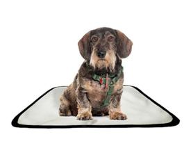 Tapete pet impermeável educador dog oferta 7 un P 50x60cm