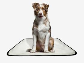 Tapete pet lavável adestramento higiênico 2 un M 60x80 Cm
