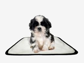 Tapete pet lavável educador higiênico 1 un PP 40x50cm
