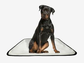 Tapete pet lavável educador higiênico 10 un G 90x100cm