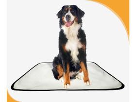 Tapete pet lavável prático em oferta 1 un G 90x100cm