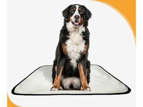 Tapete Pet Lavável Prático Em Oferta 1 Un G2 120X120Cm