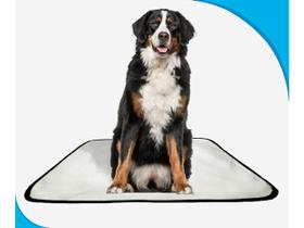 Tapete pet lavável prático em oferta 1 un G2 120x120cm