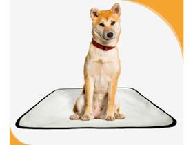 Tapete pet lavável prático em oferta 1 un M - 60x80 Cm