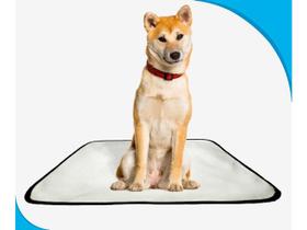Tapete pet lavável prático em oferta 1 un M - 60x80 Cm