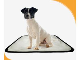 Tapete pet lavável prático em oferta 10 un P 50x60cm
