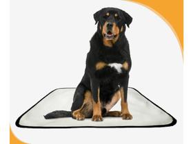 Tapete pet lavável prático em oferta 2 un G1 100x120cm