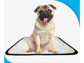 Tapete pet lavável prático em oferta 2 un P1 50x70cm