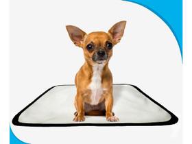 Tapete pet lavável prático em oferta 2 un PP 40x50cm