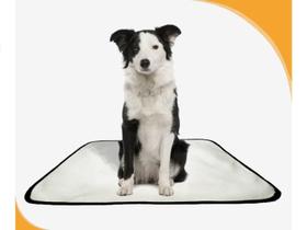 Tapete Pet Lavável Prático Em Oferta 4 Un M1 70X100 Cm