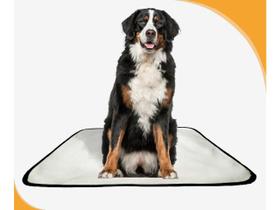 Tapete pet lavável prático em oferta 5 un G2 120x120cm